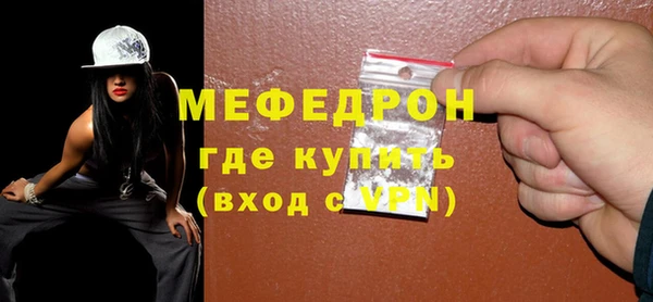 индика Богородицк