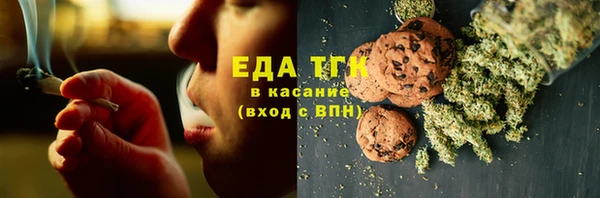 индика Богородицк