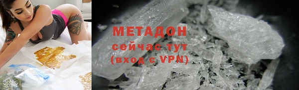 индика Богородицк