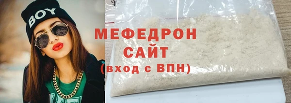 индика Богородицк