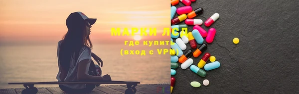 индика Богородицк