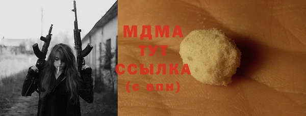 индика Богородицк