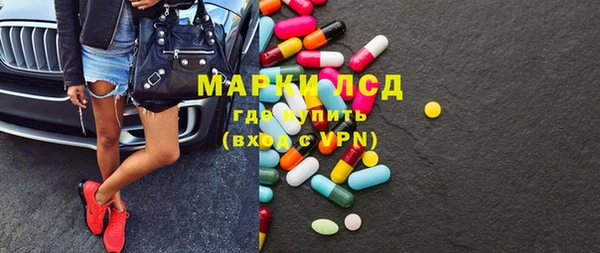 индика Богородицк