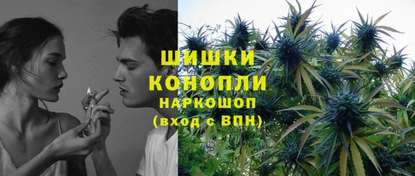 амф Богданович
