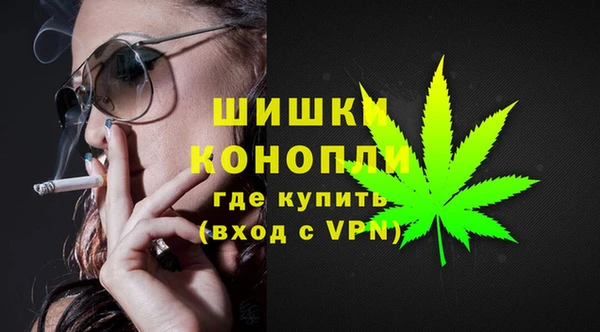 PSILOCYBIN Богородск