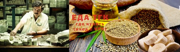 индика Богородицк