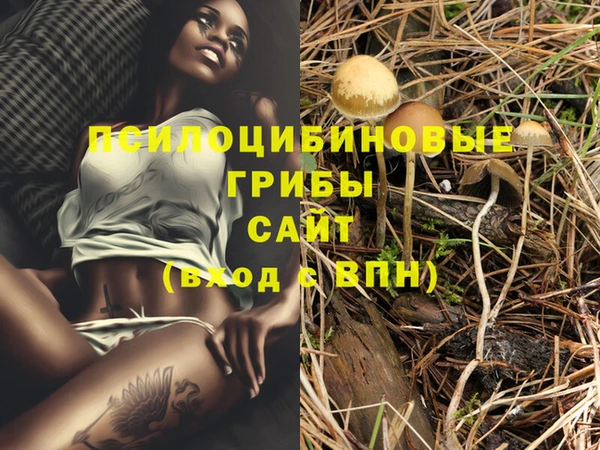 амф Богданович