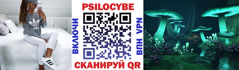 где продают наркотики  Вельск  Псилоцибиновые грибы прущие грибы 
